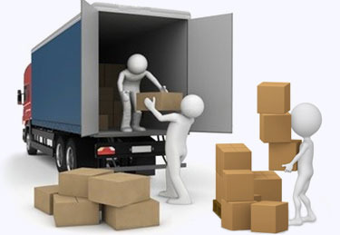 Packers And Movers Noida Sector 5